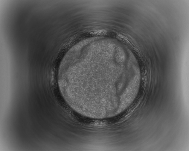 X0000095950416200802081301