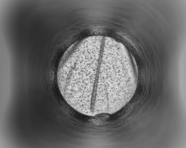 X0000095950417200802081301