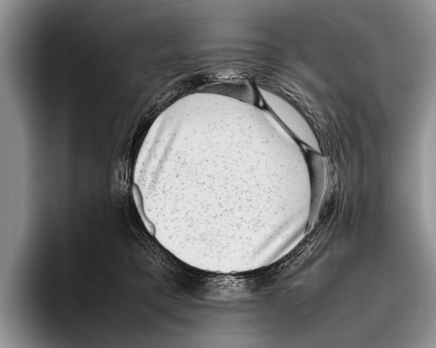 X0000095950421200802081301