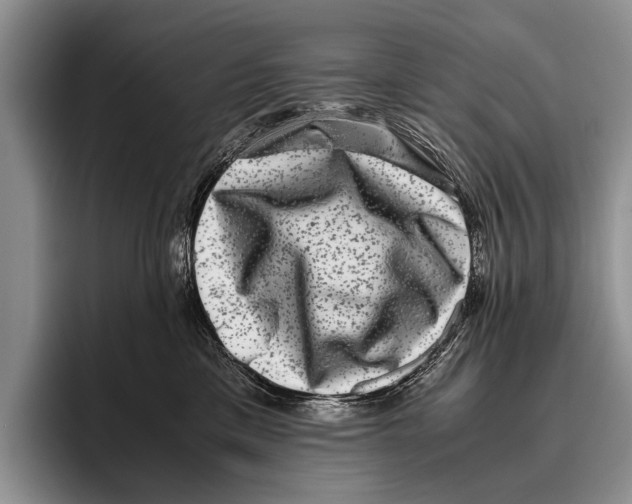 X0000095950425200802081301