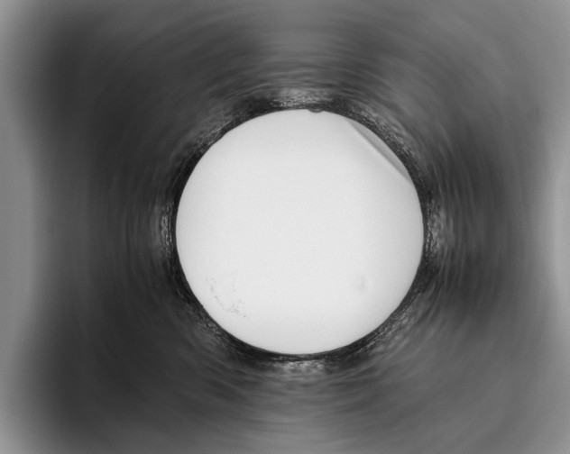 X0000095950426200802081301