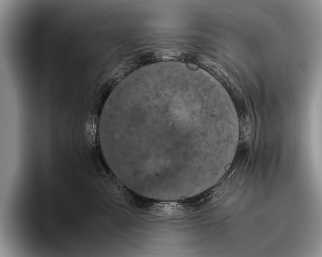 X0000095950427200802081301