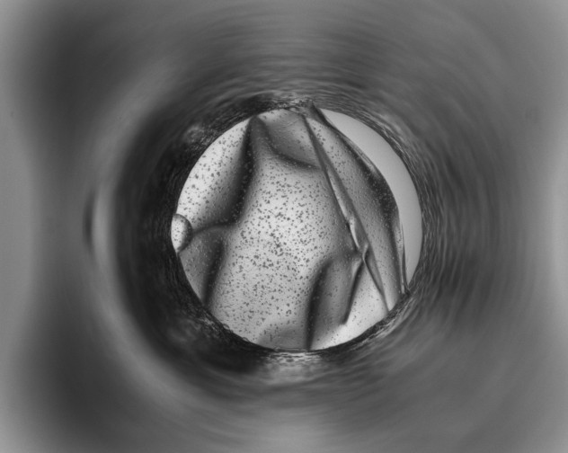 X0000095950429200802081301