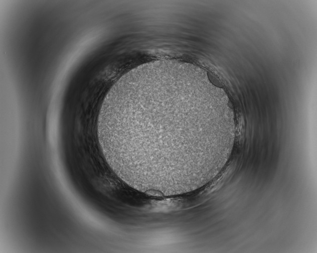 X0000095950430200802081301