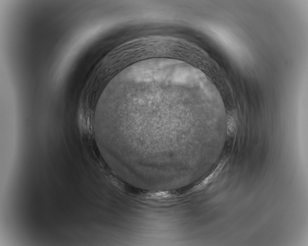 X0000095950431200802081301