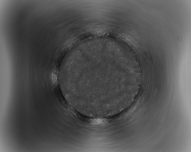 X0000095950432200802081301