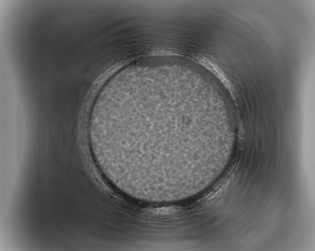 X0000095950433200802081300