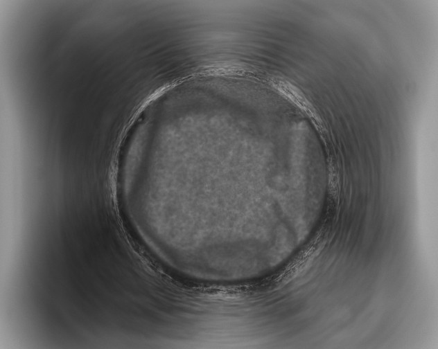 X0000095950434200802081300