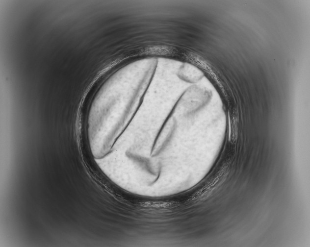 X0000095950435200802081300