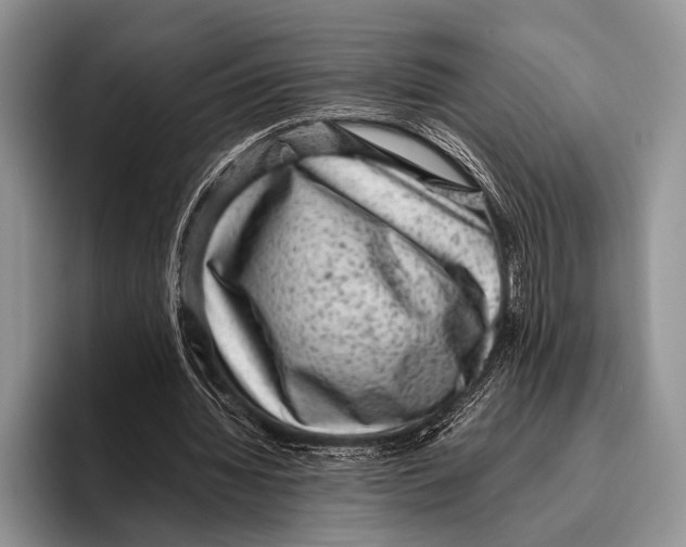 X0000095950436200802081300