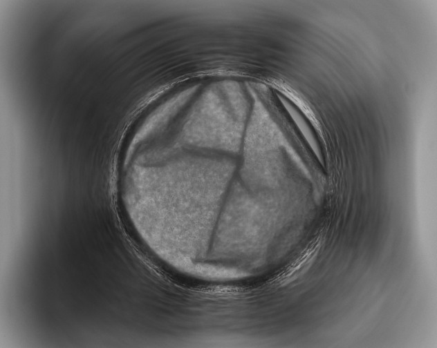 X0000095950437200802081300