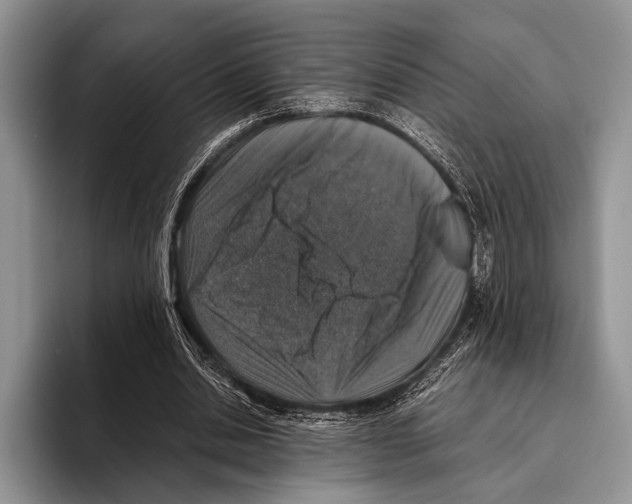 X0000095950438200802081300