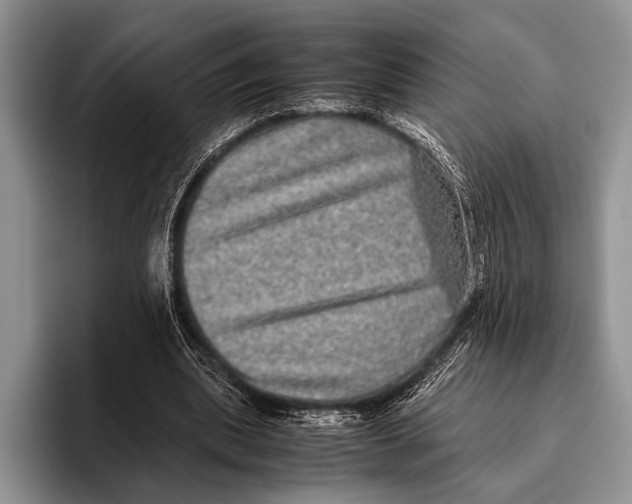 X0000095950439200802081300