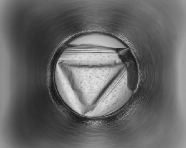 X0000095950440200802081300