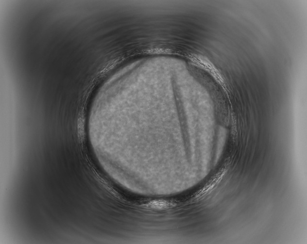 X0000095950441200802081300