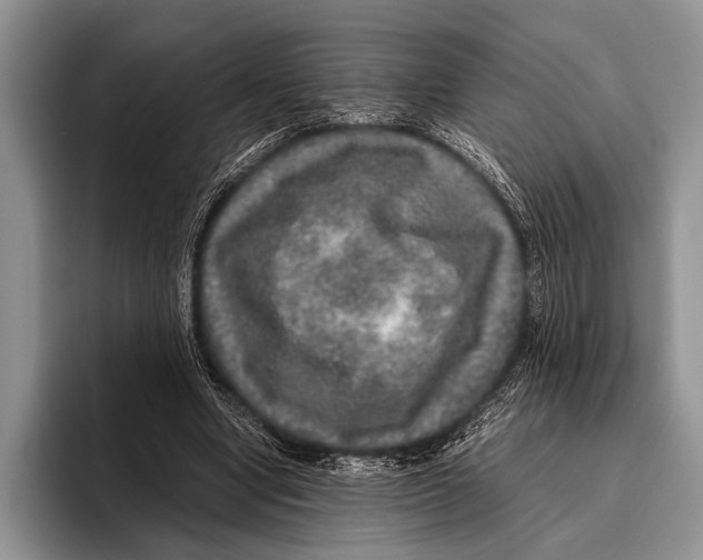 X0000095950442200802081300