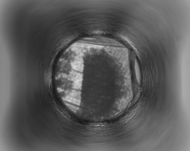 X0000095950443200802081300