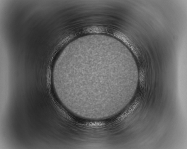 X0000095950445200802081300