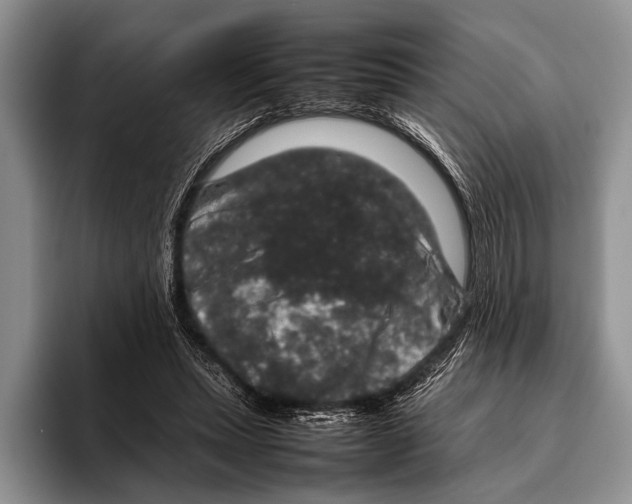 X0000095950447200802081300