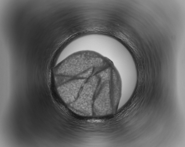 X0000095950448200802081300