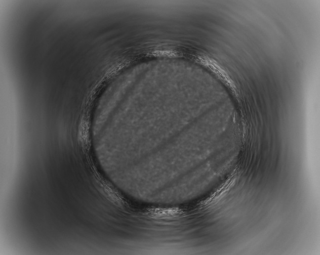 X0000095950449200802081300