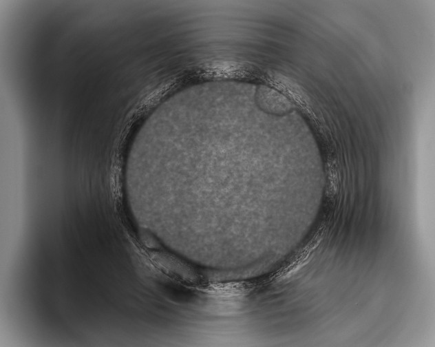 X0000095950450200802081300