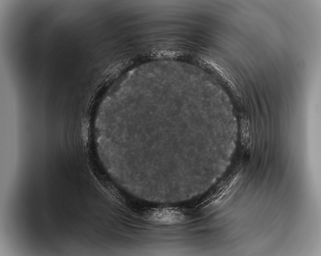 X0000095950451200802081300