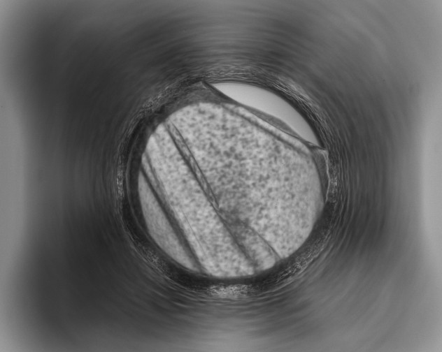 X0000095950452200802081301