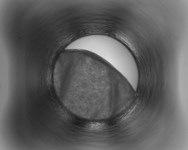 X0000095950453200802081301