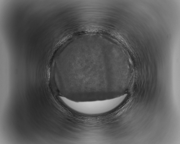 X0000095950454200802081301