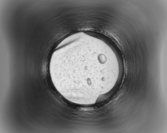 X0000095950455200802081301