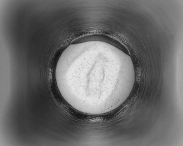 X0000095950456200802081301