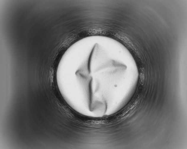 X0000095950458200802081301