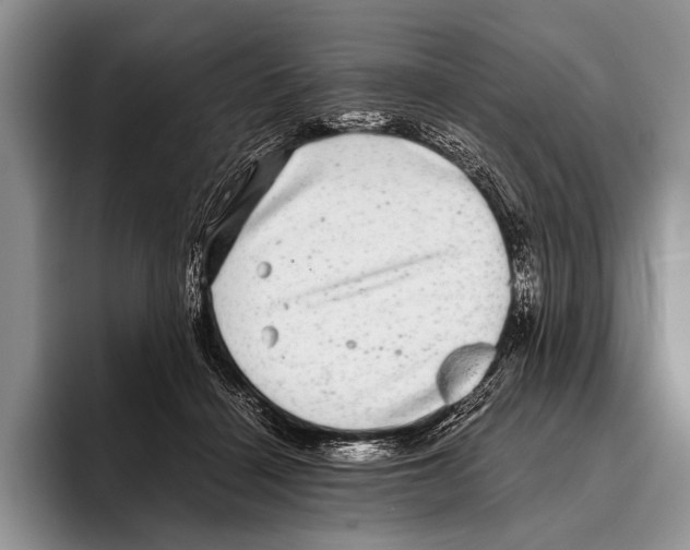 X0000095950460200802081301