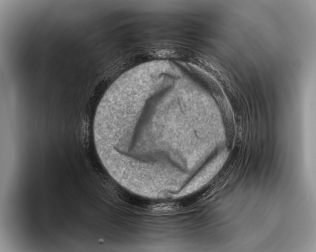 X0000095950461200802081301