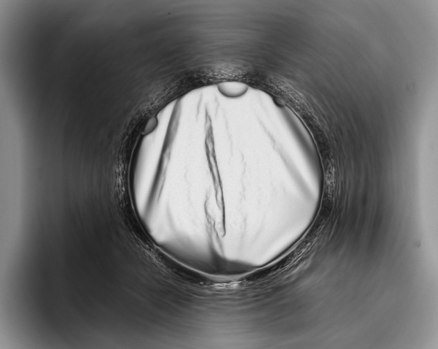 X0000095950462200802081301