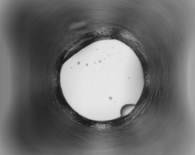 X0000095950464200802081301