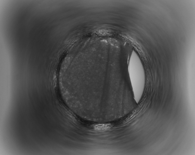 X0000095950465200802081301