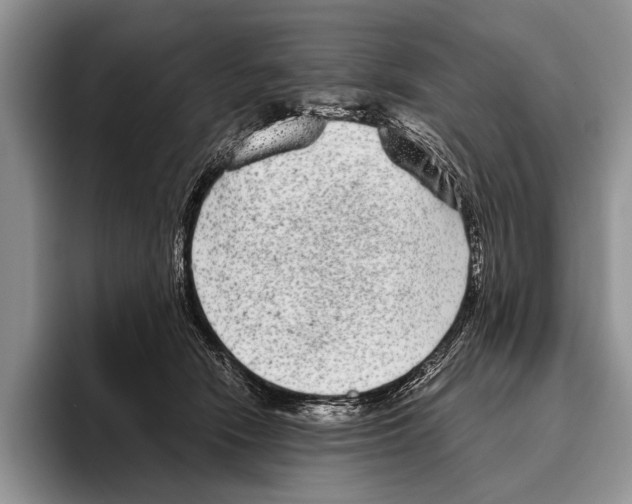 X0000095950466200802081301