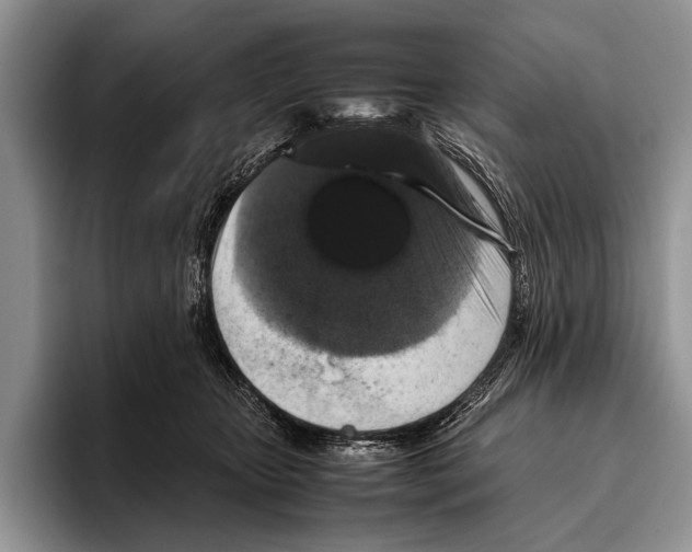 X0000095950467200802081301