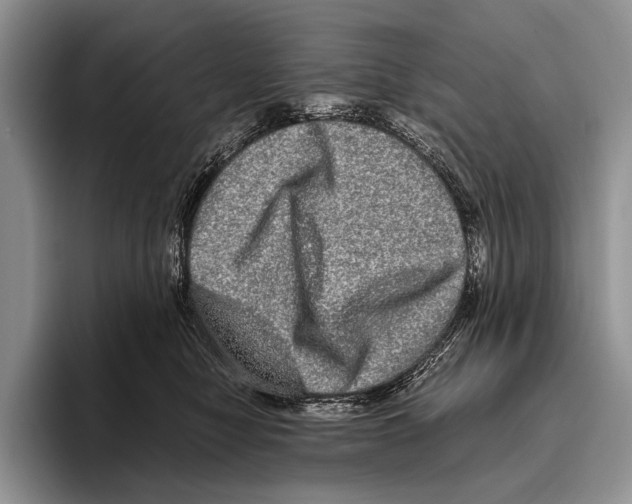 X0000095950470200802081301