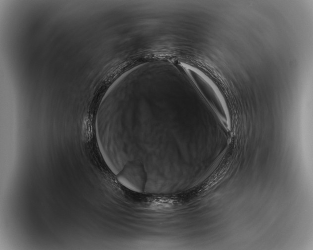 X0000095950471200802081301