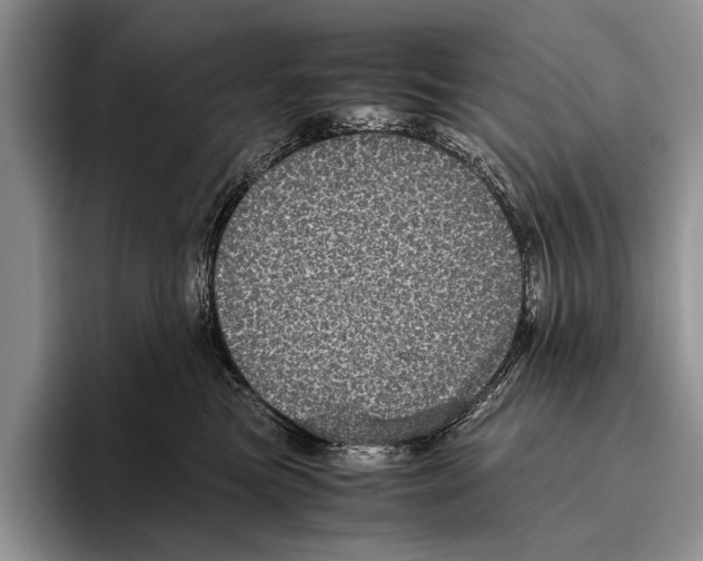 X0000095950473200802081301