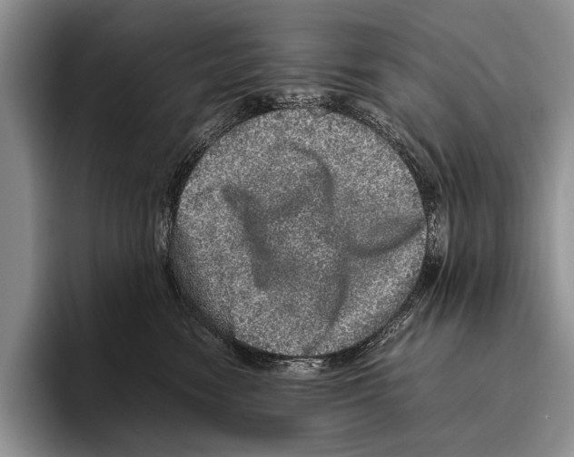 X0000095950474200802081301