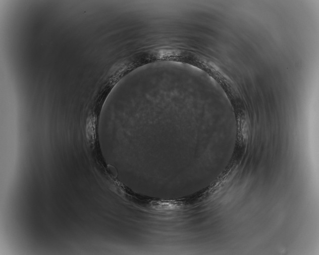 X0000095950475200802081301