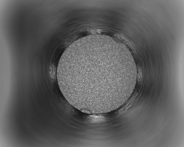 X0000095950477200802081301