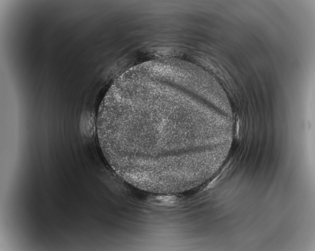 X0000095950478200802081301