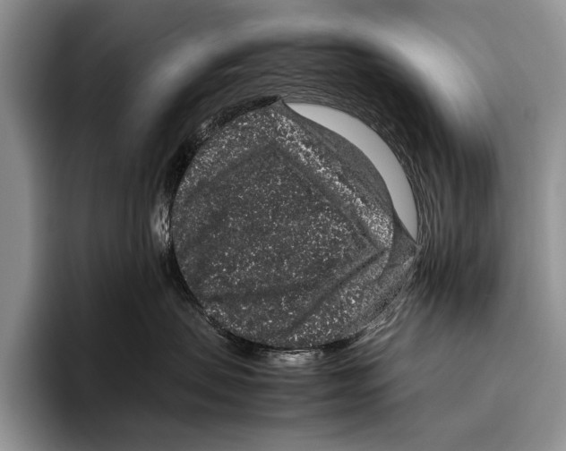 X0000095950479200802081301