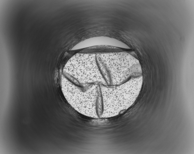 X0000095950480200802081301