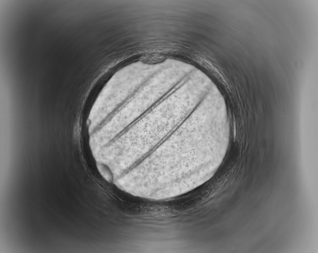 X0000095950483200802081300